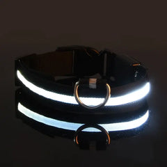 Flashing Glow Dog Collar